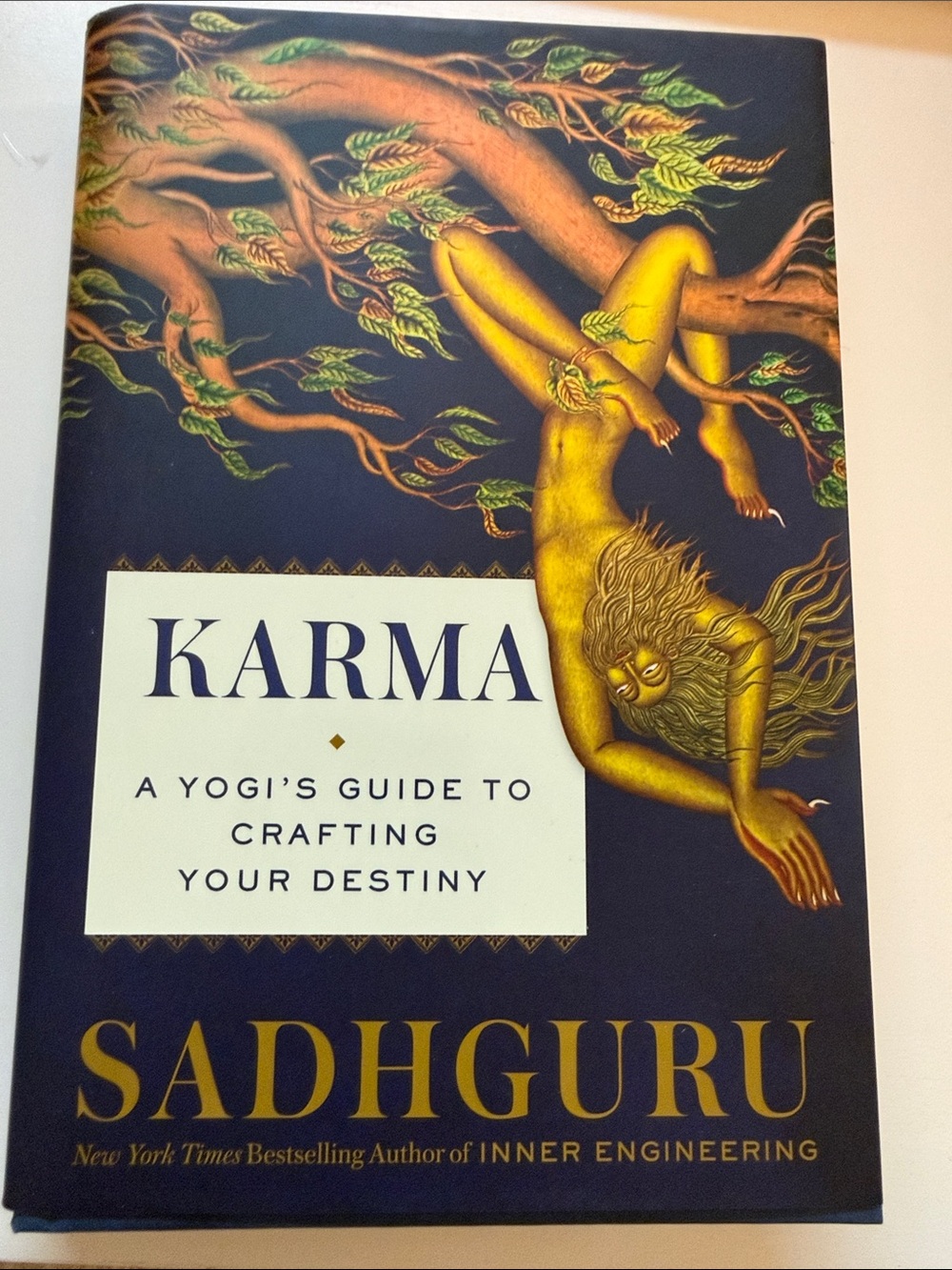 NYT BestSeller Author - 2021 in NEW condition! Karma